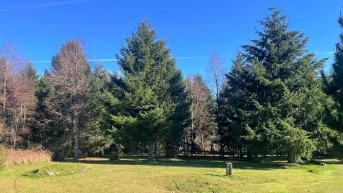 Villarrica House | Country Pucon, descanso total en la Naturaleza