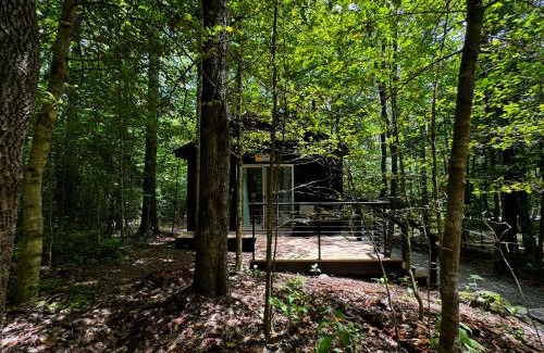 Balsam Grove Other | Couples Glamping Cabin-Bearly Behaving at Valley Bear Farms Resort