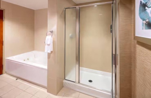St. Petersburg - Clearwater Hotel | Couples Retreat | Modern Amenities & Waterfront Views