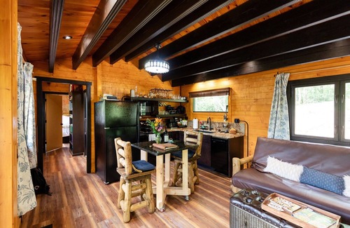 Brevard Cabin | Couples Romantic Getaway! Mountain Log Cabin with Hot Tub & Fireplace.