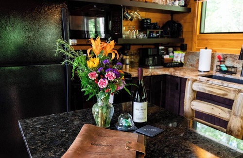 Brevard Cabin | Couples Romantic Getaway! Mountain Log Cabin with Hot Tub & Fireplace.