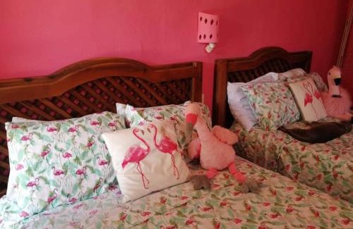 Puerto Yucalpeten Apartment | Courtyard family room