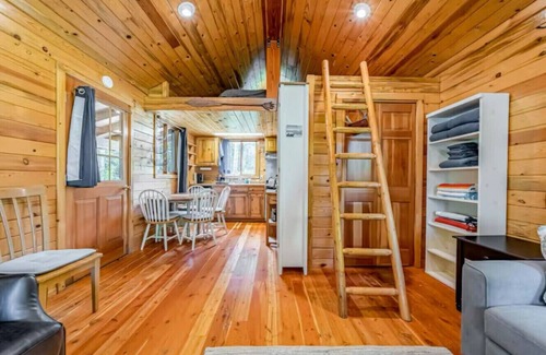 Shelter Cove Cabin | Cove Cabin Retreat, Private and Peaceful