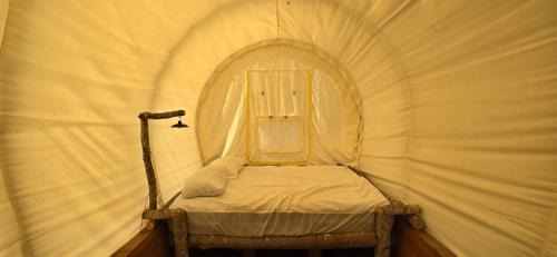 Lenoir Other | Covered Wagons Hill Camp - WAGON 4