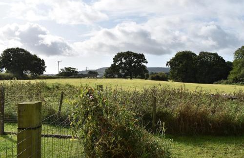 Marshwood House | Cowdea 2