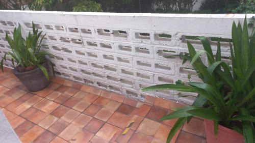Del Carmen Apartment | Coyoacan City Lofts