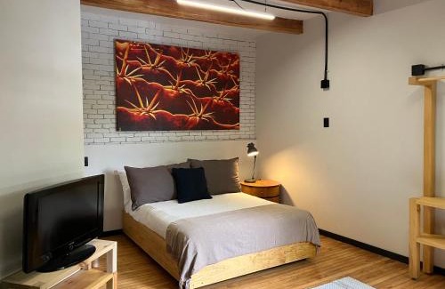 Coyoacan Apartment | Coyoacan historico, museo Frida.