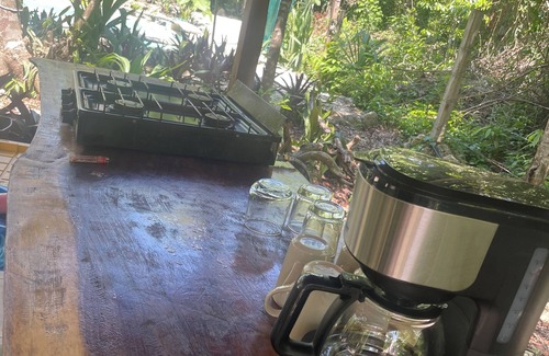 Cozumel Other | Cozumel Glamping