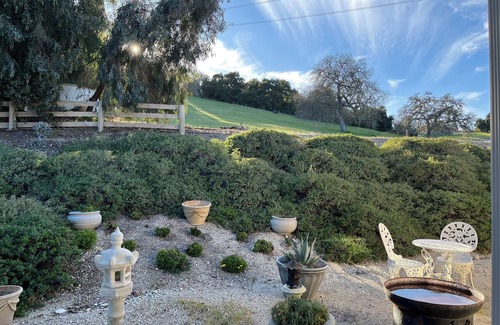 Templeton Apartment | Cozy 1-bedroom apartment in charming Templeton with WiFi, AC