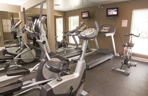Egypt Lake-Leto Apartment | Cozy 1-bedroom apartment with WiFi, fitness room in brilliant Tampa