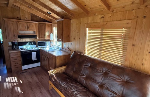 Winters Cabin | Cozy 1-bedroom Cabin on Putah Creek-Cottage 66