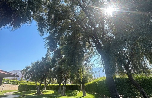 Racquet Club West Condo | Cozy 1-bedroom condo with WiFi, AC in charming Palm Springs, pool view