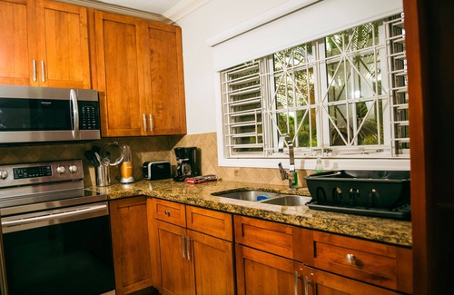Molynes Gardens Apartment | Cozy 1-bedroom with WiFi and AC in lovely Kingston