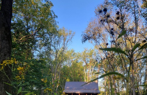 Gambier Cabin | Cozy 2-bedroom cabin in near Gambier, peaceful woodland setting