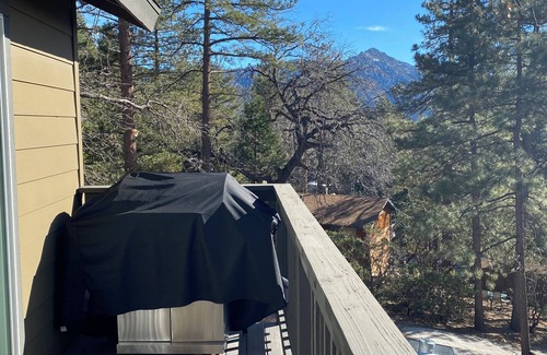 Pine Cove House | Cozy 3 bedroom house in Idyllwild with garage and electric car charging outlet.