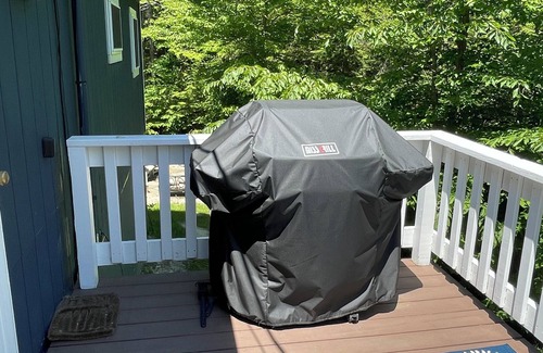 Moultonborough Ski Chalet | Cozy 4 BR chalet, short walk to park, tennis, and beach! Pets ok! 425 a night.