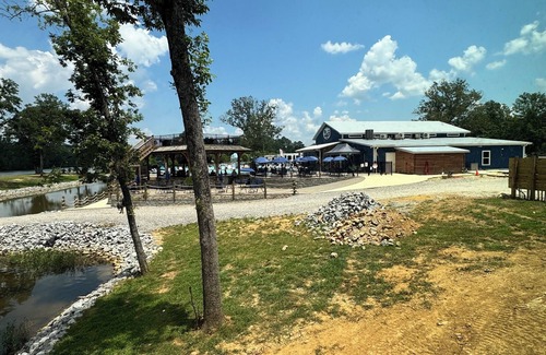Gadsden Cabin | Cozy 6 person cabin with swim up tiki bar and hot tub!