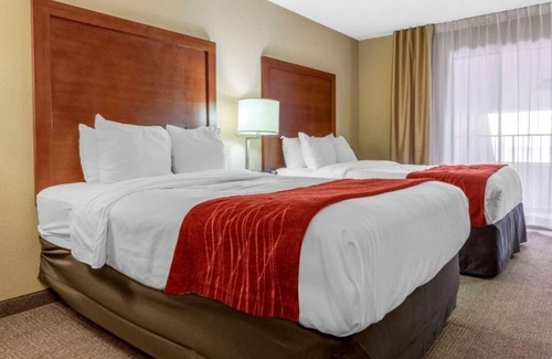 Albuquerque Hotel | Cozy and Convenient Room for Families Exploring Local Culture