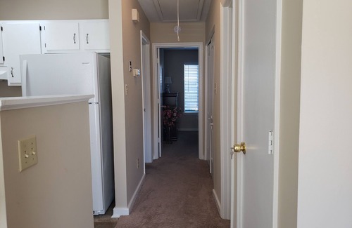 Jacksonville Apartment | Cozy and Cute apartment near Camp Lejeune (109)