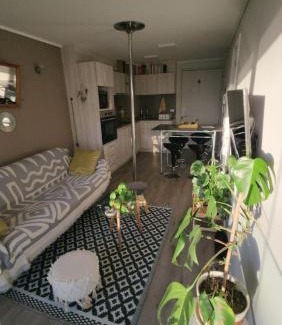 Vina del Mar Apartment | Cozy and nice apartment