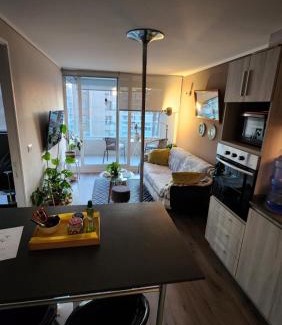 Vina del Mar Apartment | Cozy and nice apartment