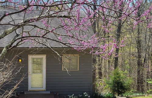 Bloomington House | Cozy and Relaxing.Just Steps To The Lake