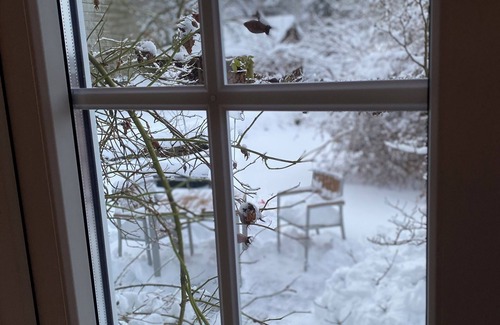 Clausthal-Zellerfeld Apartment | Cozy and spacious apartment in the idyllic Harz Mountains