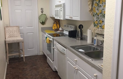 North Port House | Cozy and stylish house with wooded view in North Port, Fl