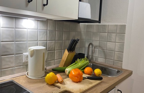 Stuhlinger Apartment | Cozy apartment Vauban Freiburg - Apartment with balcony Vauban Freiburg