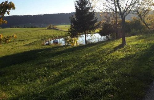 Villingen-Schwenningen Apartment | Cozy Apartment in Schwenningen with Garden