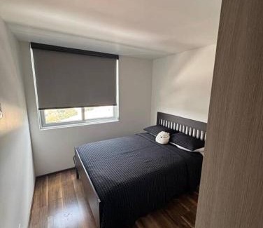 Coyoacan Apartment | Cozy apartment, all amenities