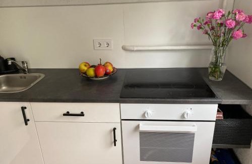 Vilnius city municipality Apartment | Cozy apartment close to city center