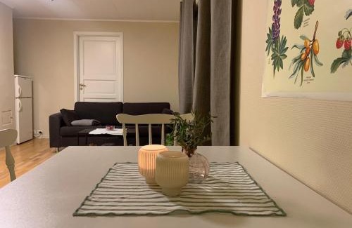 Tromso Apartment | Cozy apartment in Hamna