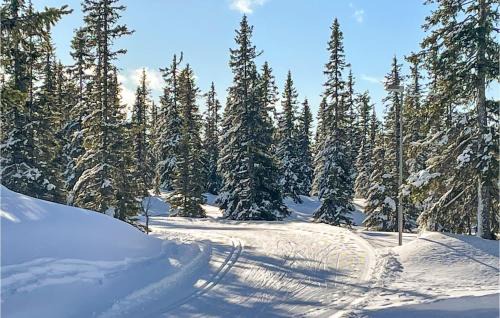 Lillehammer Apartment | Cozy Apartment In Lillehammer With Wifi