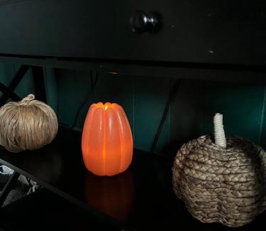 Liverpool Apartment | Cozy apartment Liverpool NY