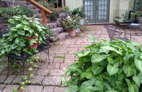St. Elmo Improvement League Apartment | Cozy Apartment Studio for Your Stay in Chattanooga at "Mountain View"