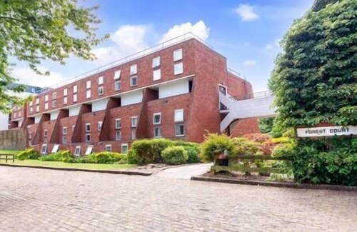North Finchley Apartment | Cozy Apartment with King Bed