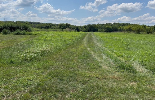 Wea Apartment | Cozy Basement Apartment on 5 Acres with Private Entrance