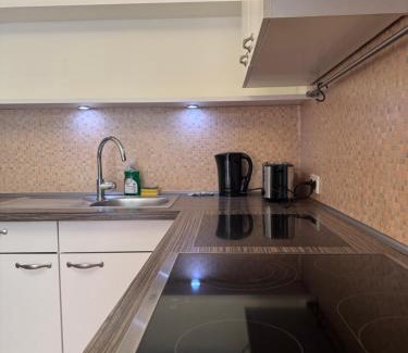 Klagenfurt am Woerthersee Apartment | cozy big old town apartment