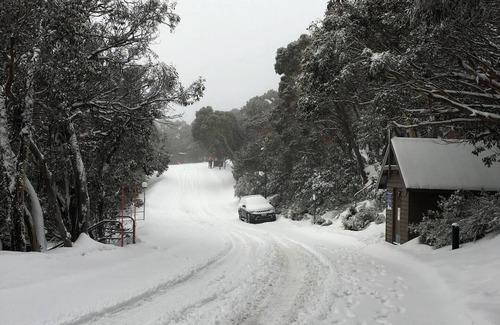 Mount Buller Apartment | Cozy Buller Studio: Affordable Skiing/boarding!