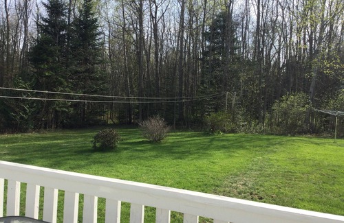 Lion's Head House | Cozy bungalow in the forest on the Bruce Peninsula. Pet friendly