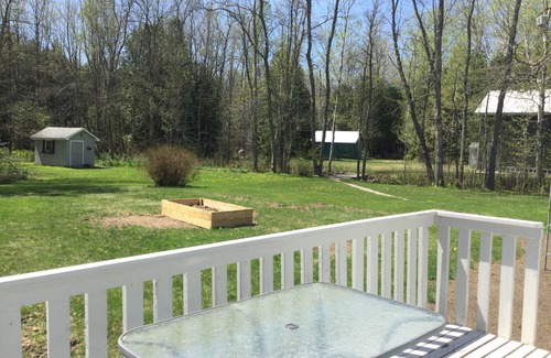 Lion's Head House | Cozy bungalow in the forest on the Bruce Peninsula. Pet friendly