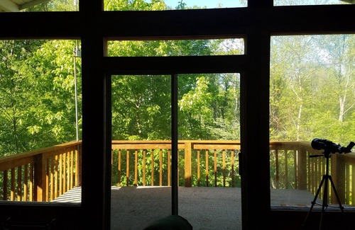 Bellmore Cabin | Cozy Cabin By The Lake!