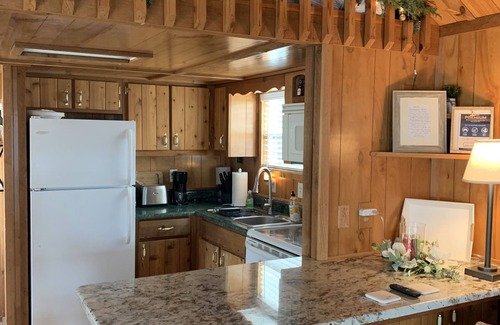 Homosassa Cabin | Cozy cabin by the river/pet friendly