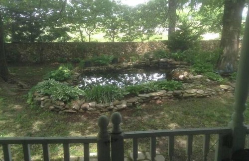 Springfield Cabin | Cozy cabin in charming Rogersville area with WiFi, AC. Rural