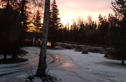 Soldotna Cabin | Cozy Cabin in the trees