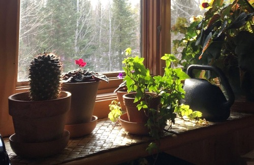 Grand Marais Cabin | Cozy cabin in the woods