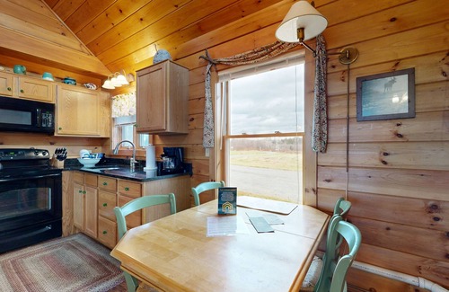 Greenville House | Cozy cabin in spectacular lakefront location with great views - dog-friendly