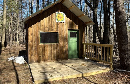 Prattsburgh Cabin | Cozy cabin nestled in the woods