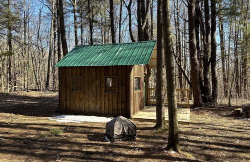 Prattsburgh Cabin | Cozy cabin nestled in the woods